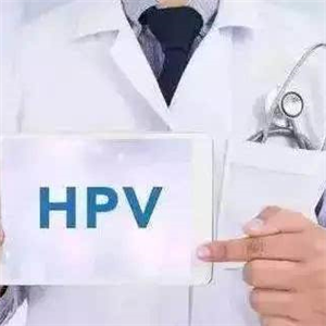 HPV检查