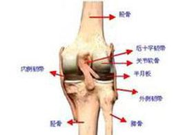 膝后疼痛