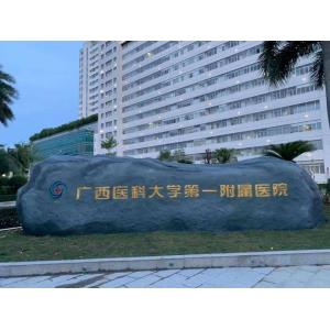 广西医科大学第一附属医院